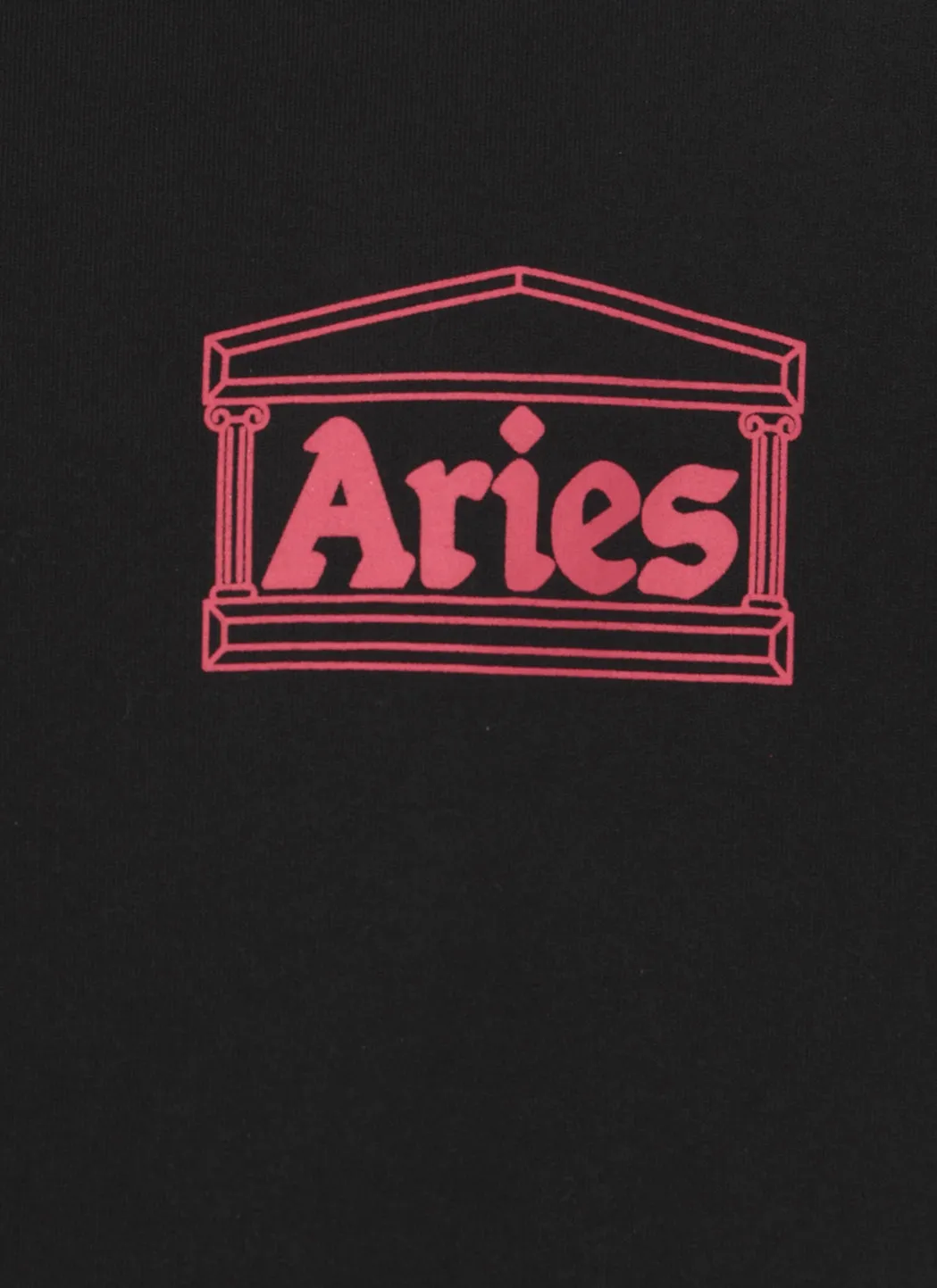 Aries Logo Printed Long-Sleeved Hoodie