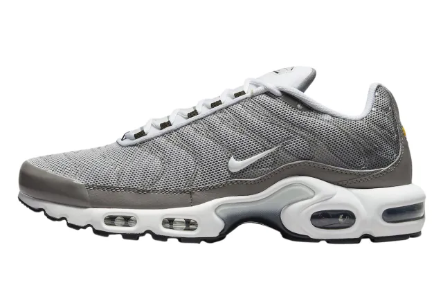 NIKE AIR MAX PLUS FLAT PEWTER