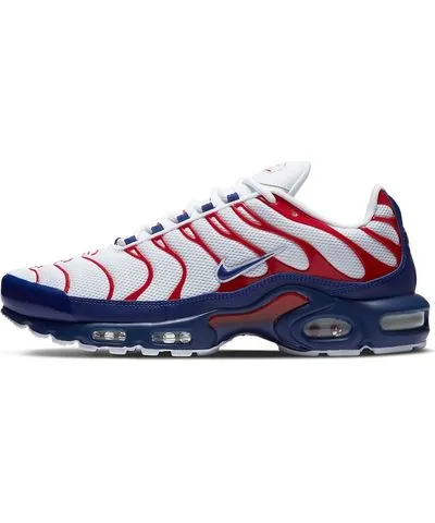 Nike Air Max Plus 'USA'