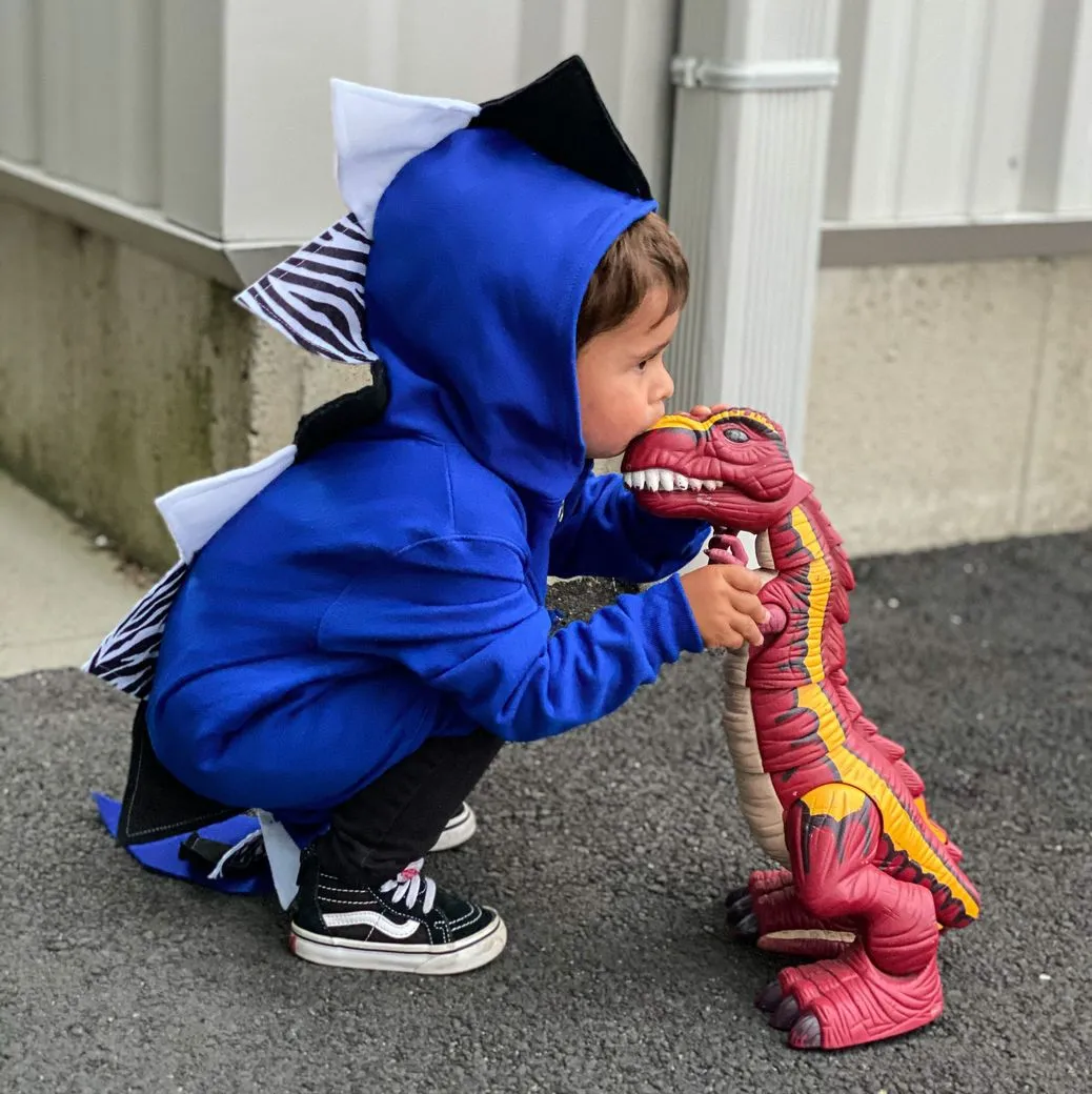 Royal Blue Dragon Hoodie with Tail